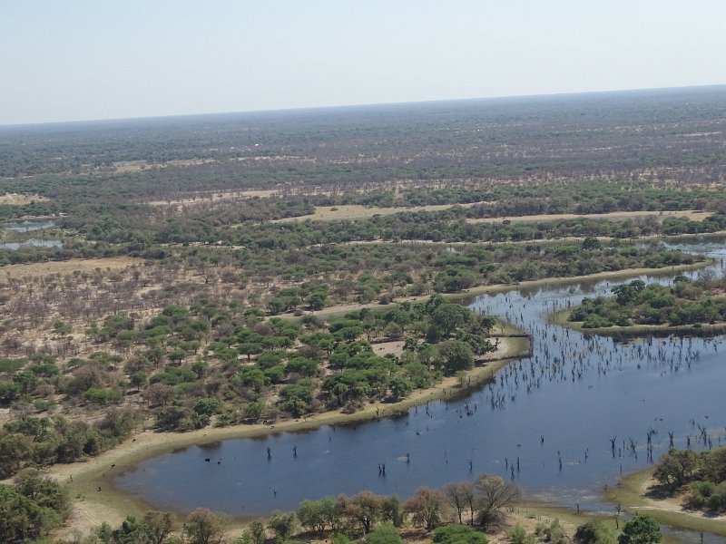 DSC08139.JPG - Okavangodelta