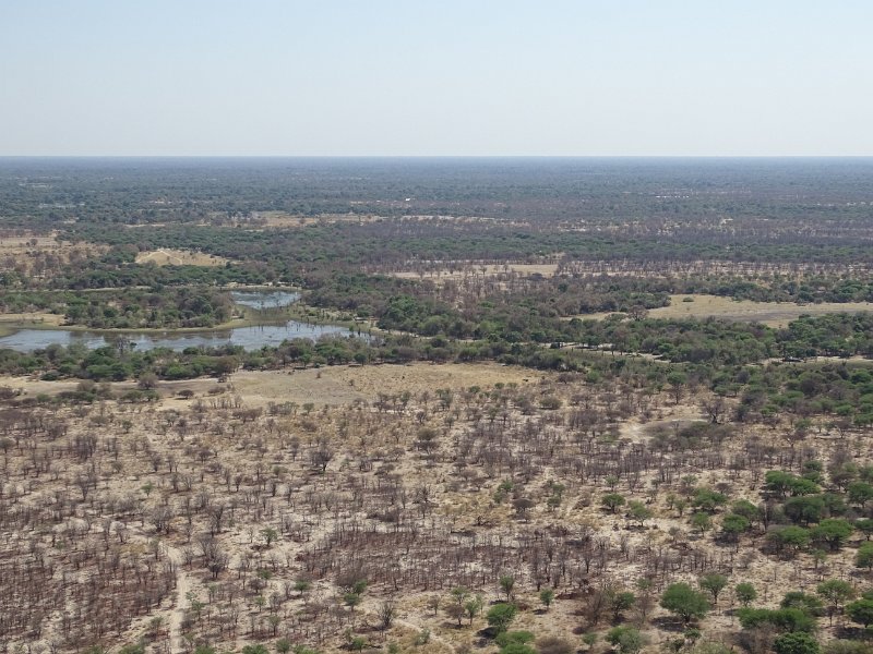 DSC08140.JPG - Okavangodelta