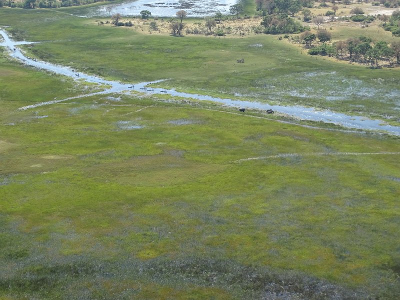 DSC08142.JPG - Okavangodelta