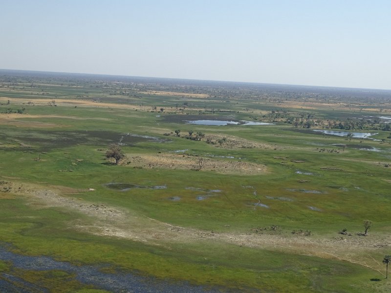 DSC08144.JPG - Okavangodelta