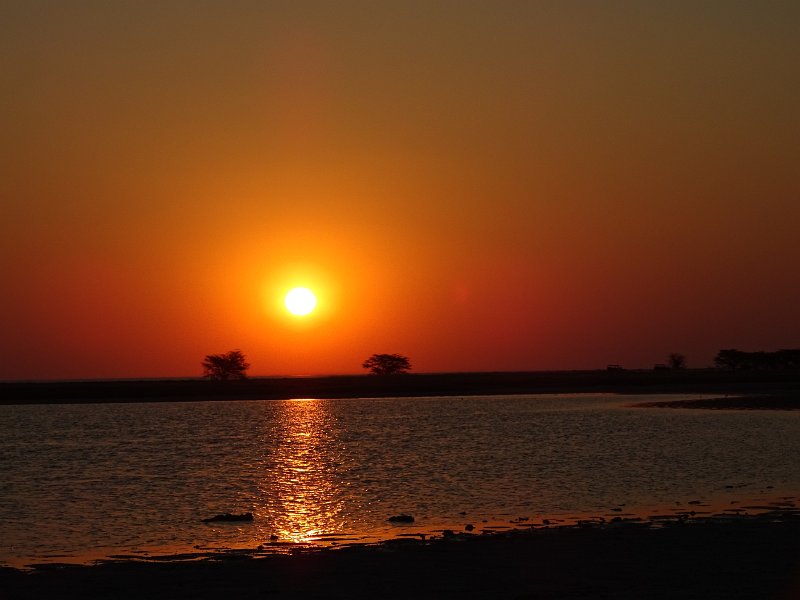 DSC08260.JPG