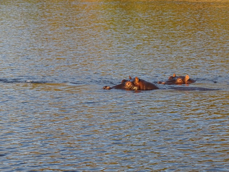 DSC08523.JPG