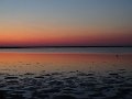 DSC08305