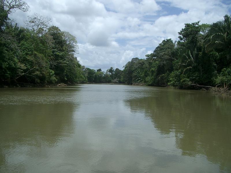 195.jpg
