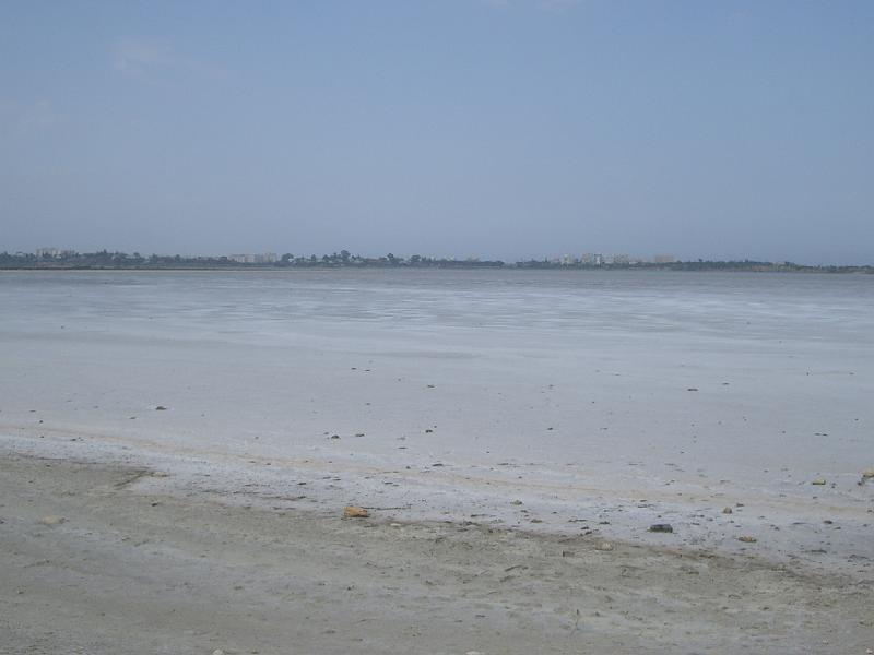 128.jpg