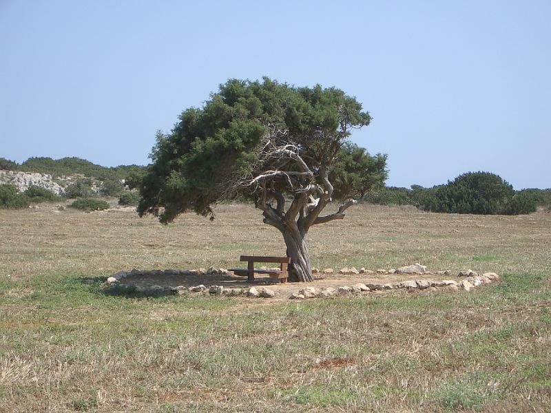 147.jpg