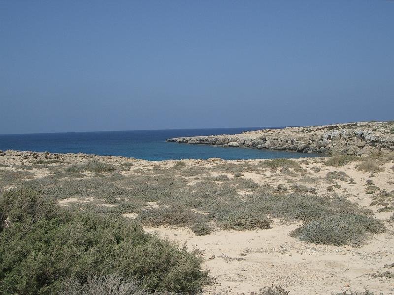 151.jpg