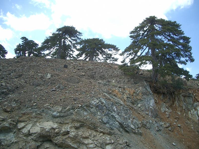 281.jpg
