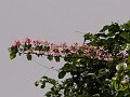 Dsc00443