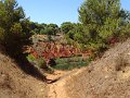 Laghetto della Cava di Bauxite  2