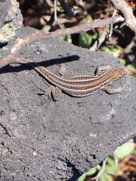 DSC03945.JPG
