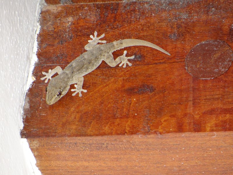 DSC04023.JPG