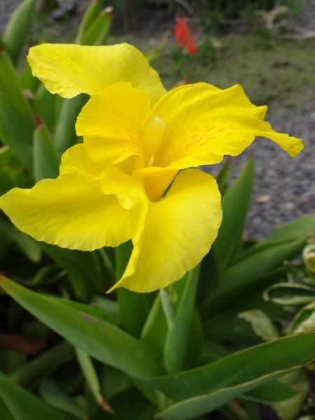 DSC04207.JPG