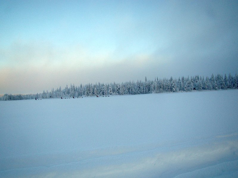 DSC00172.JPG - Landschap31