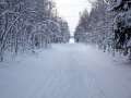 DSC00026