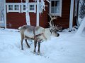 DSC00108