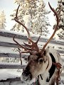 DSC00290
