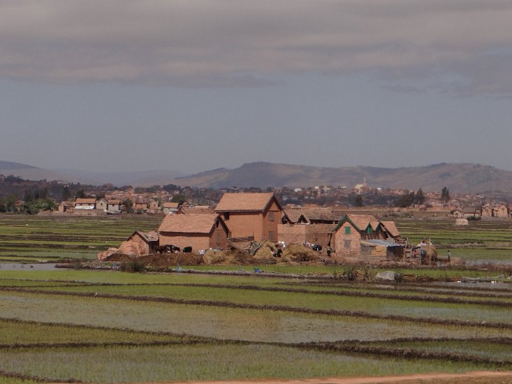 DSC00482.JPG - Net buiten Antananarivo 