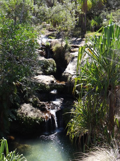 Dsc02864.jpg - Waterval  (Isalo reserve)