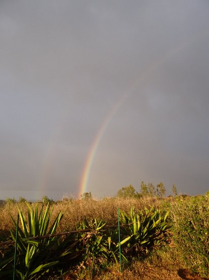 Dsc03281.jpg - Regenboog (Nature Lodge )