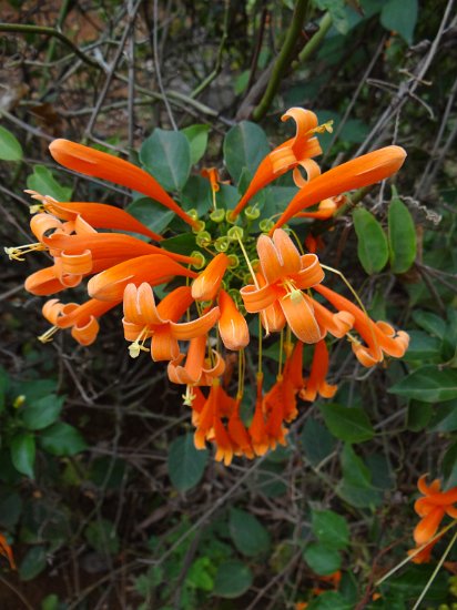 Dsc03380.jpg