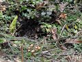 Dsc02580
