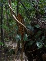 Dsc02598