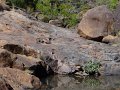 Dsc02684