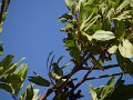 Dsc02746