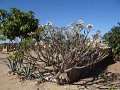Dsc02807
