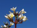 Dsc02808