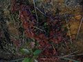 Dsc02832