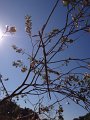 Dsc02840