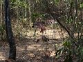 Dsc02956