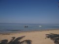 Dsc02985