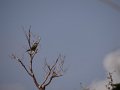 Dsc03076