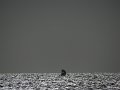 Dsc03119