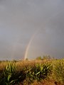 Dsc03281