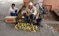 Djemaa el Fna plein 5a