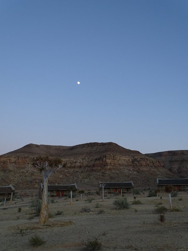 DSC05738.JPG - Canyon village lodge