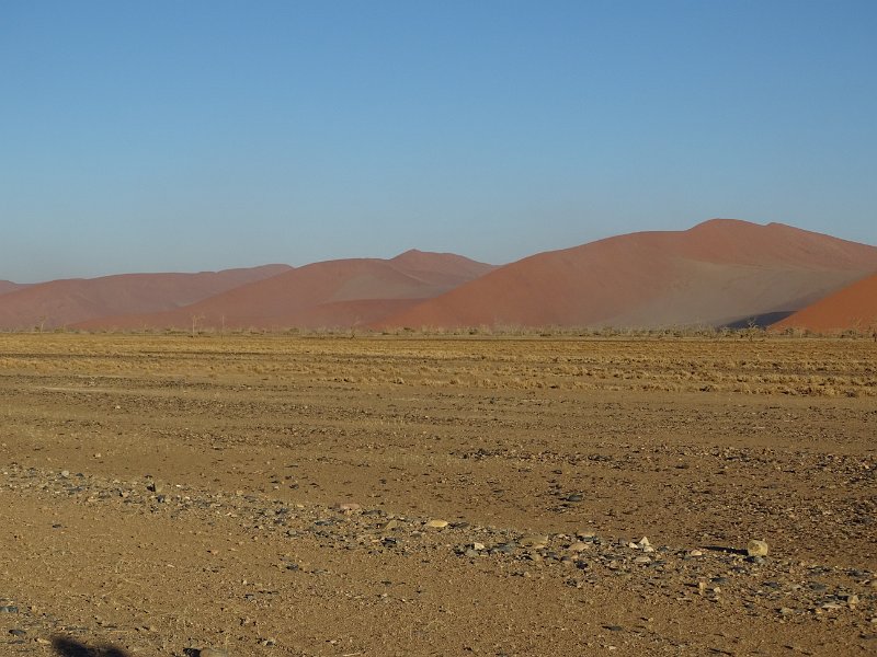 DSC05896.JPG - Sossusvlei