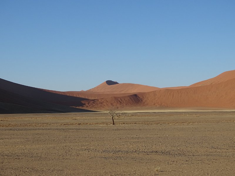 DSC05903.JPG - Sossusvlei
