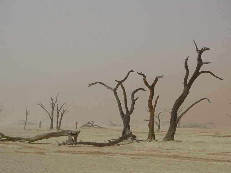 DSC05906.JPG - Deadvlei
