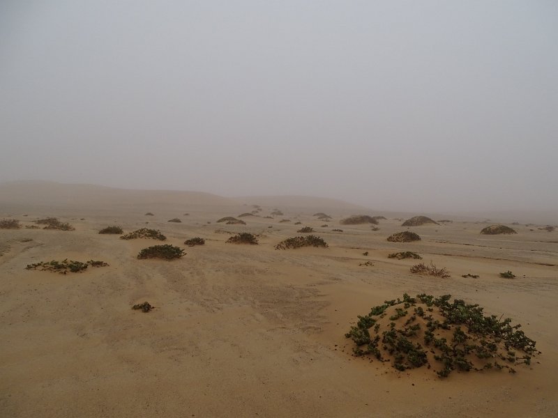 DSC06111.JPG - Namib Desert Swakopmund