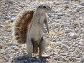 DSC07057