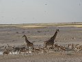 DSC07543