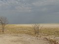 DSC07774