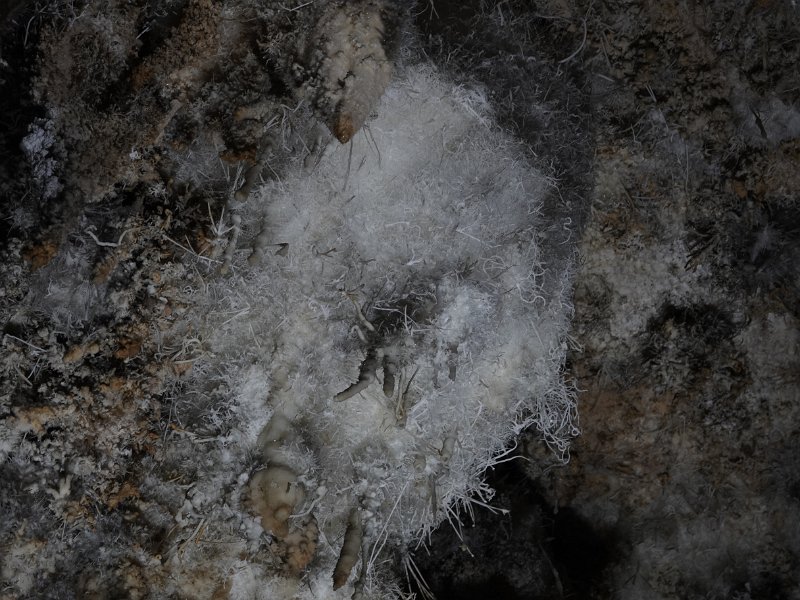 DSC00971.JPG -  Zuddas Caves