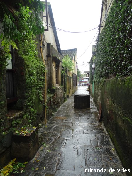 Hoi An  (3).JPG
