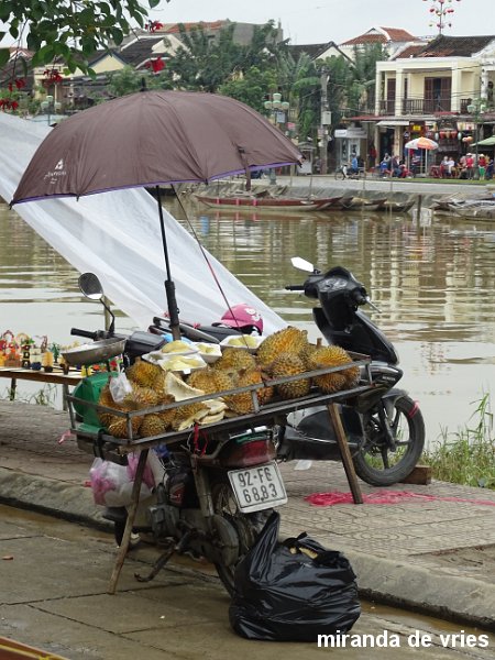 Hoi An  (5).JPG